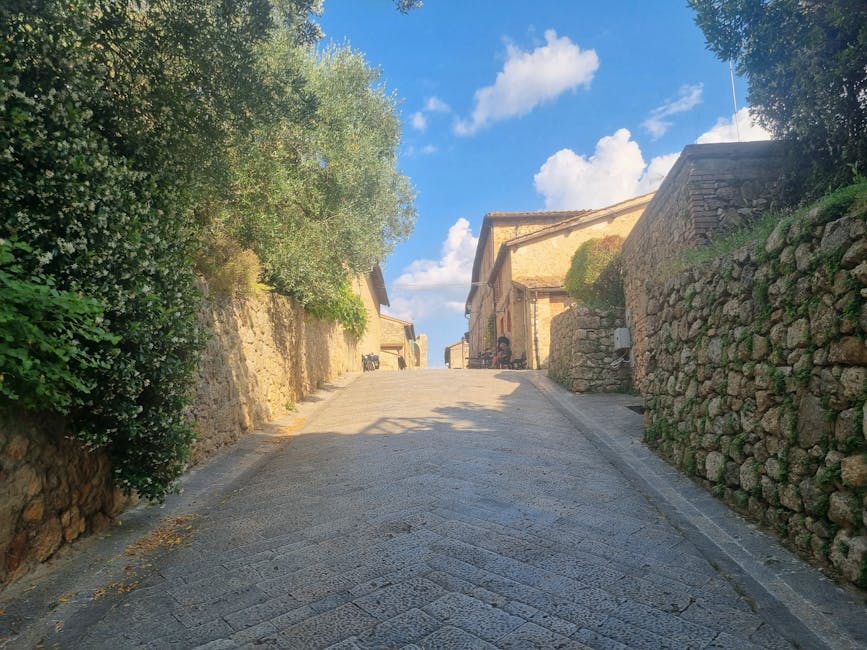 Kalkstenen hellingstraat met muurtjes en olijfbomen in Toscane