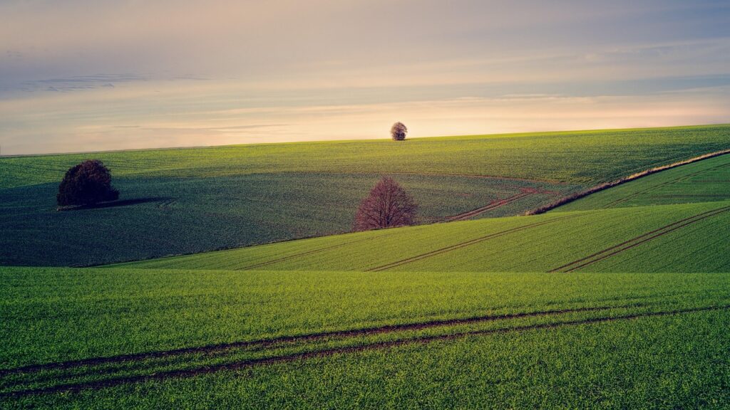 Pienza rolling hills