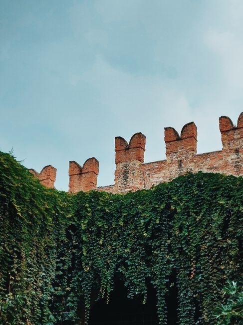 Mura merlate ricoperte di edera che emergono nel cielo toscano