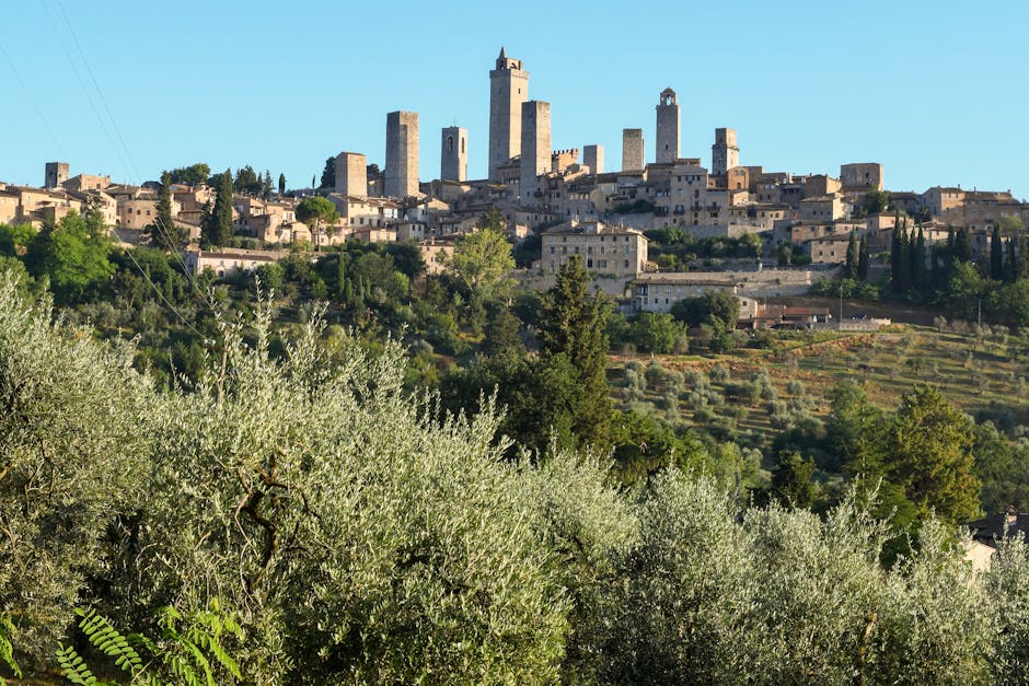 Veduta delle torri medievali di San Gimignano sopra uliveti toscani