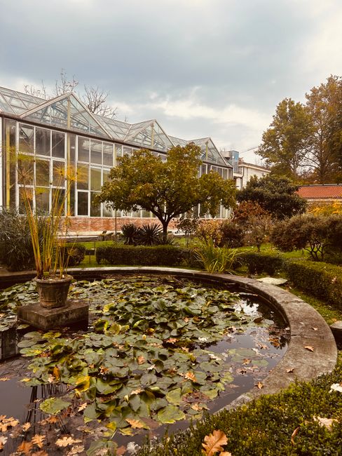 Szklarnie i okrągły staw z liliami w ogrodzie botanicznym w Toskanii