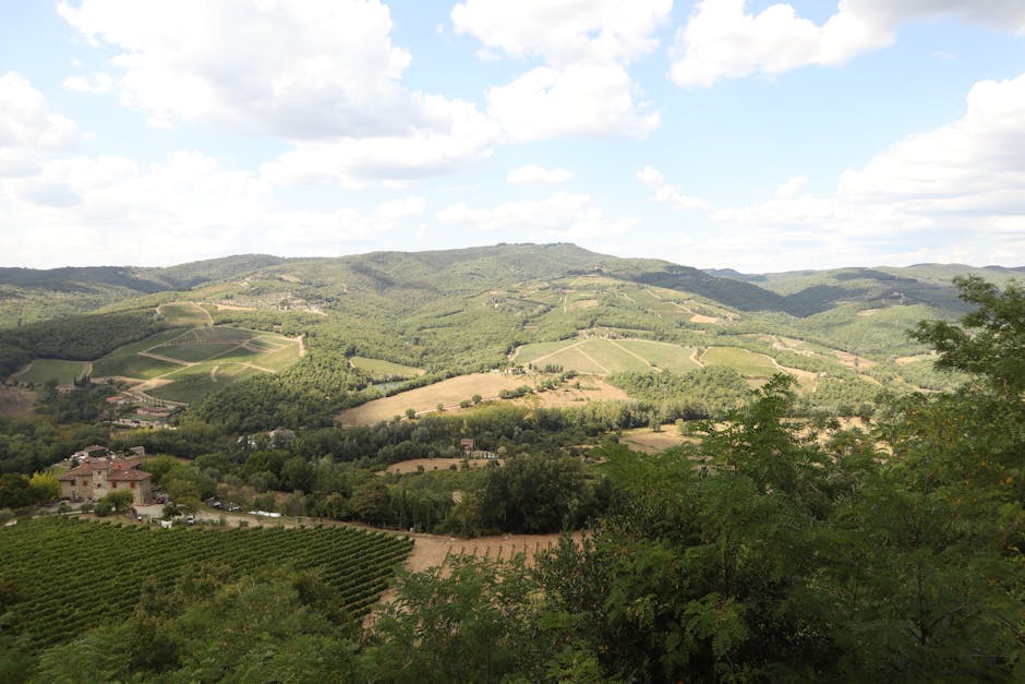 Uitzicht op glooiende wijngaarden en boerderijen in het Toscaanse landschap