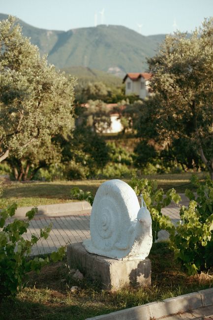 Witte slaksculptuur tussen olijfbomen, Toscaanse heuvels op achtergrond