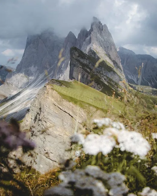 Cimes rocheuses abruptes des Dolomites, fleurs sauvages floues au premier plan