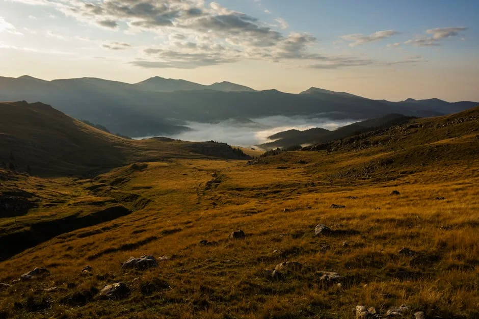 Plateau herbeux avec brume matinale entre vallées, Dolomites