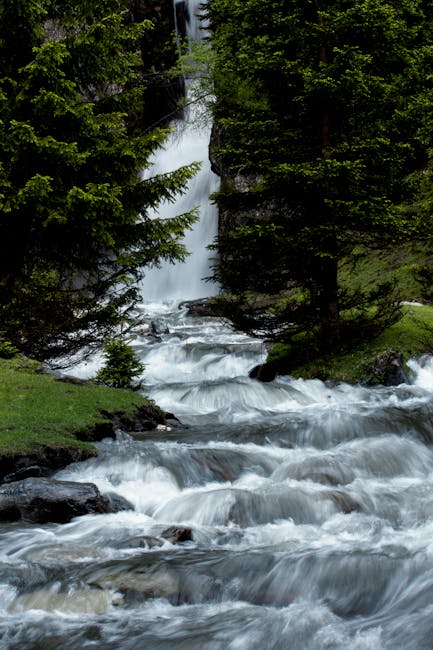 Bach mit Kaskaden durch Fichten, Wasserfall verborgen in den Dolomiten