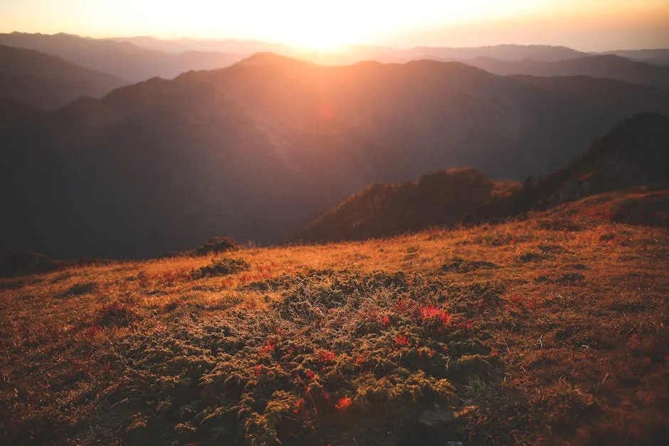 Zonsondergang boven alpenweide en golvende kammen van de Dolomieten