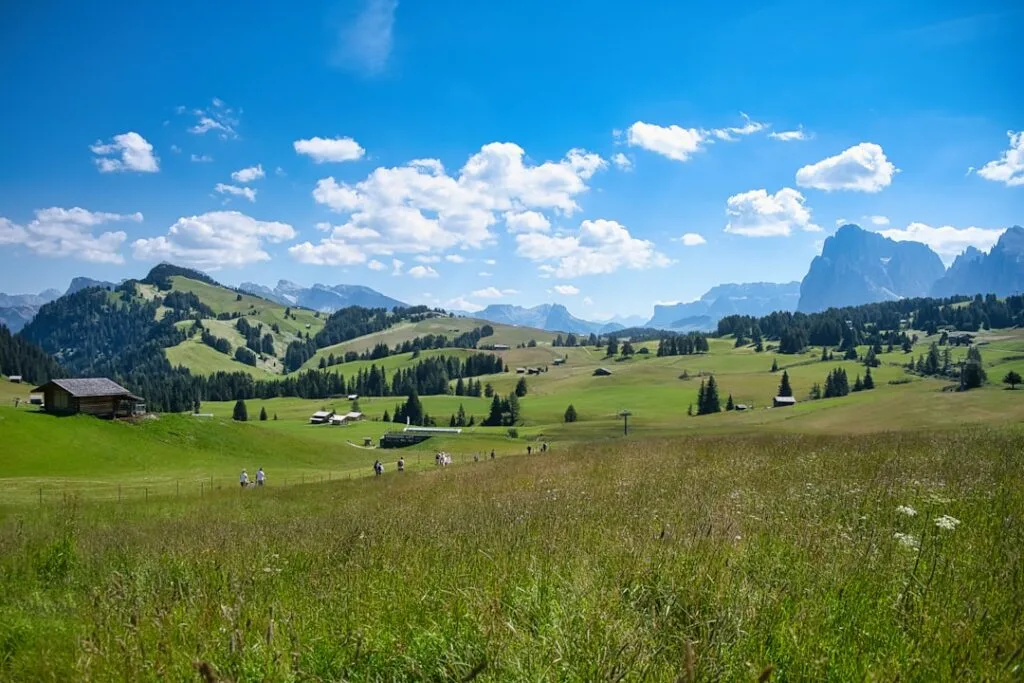 Alpage verdoyant par temps clair avec chalets et montagnes des Dolomites.