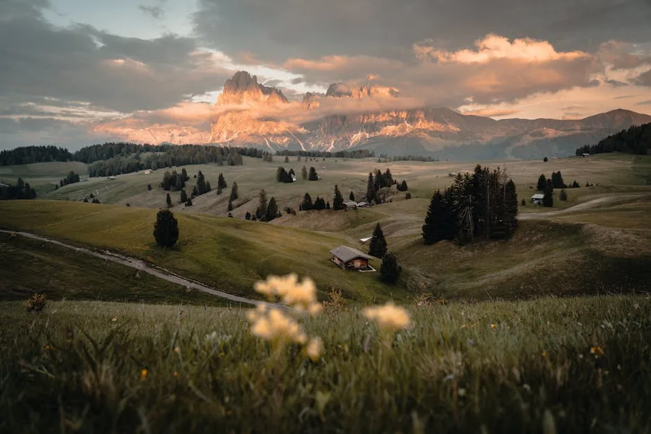 Golvende weide van Alpe di Siusi met de Dolomieten verlicht bij zonsondergang