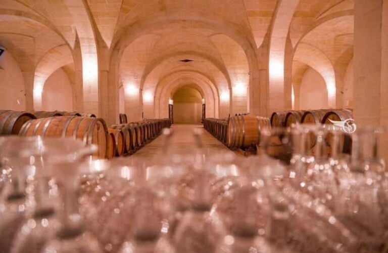 Organic masseria: wines and oil