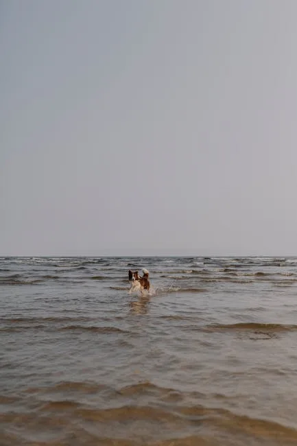 Dog playing in shallow water at a beach near Lecce