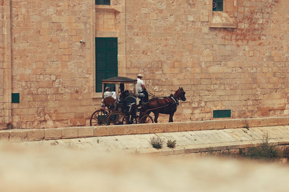Horse-drawn carriage through the historic center