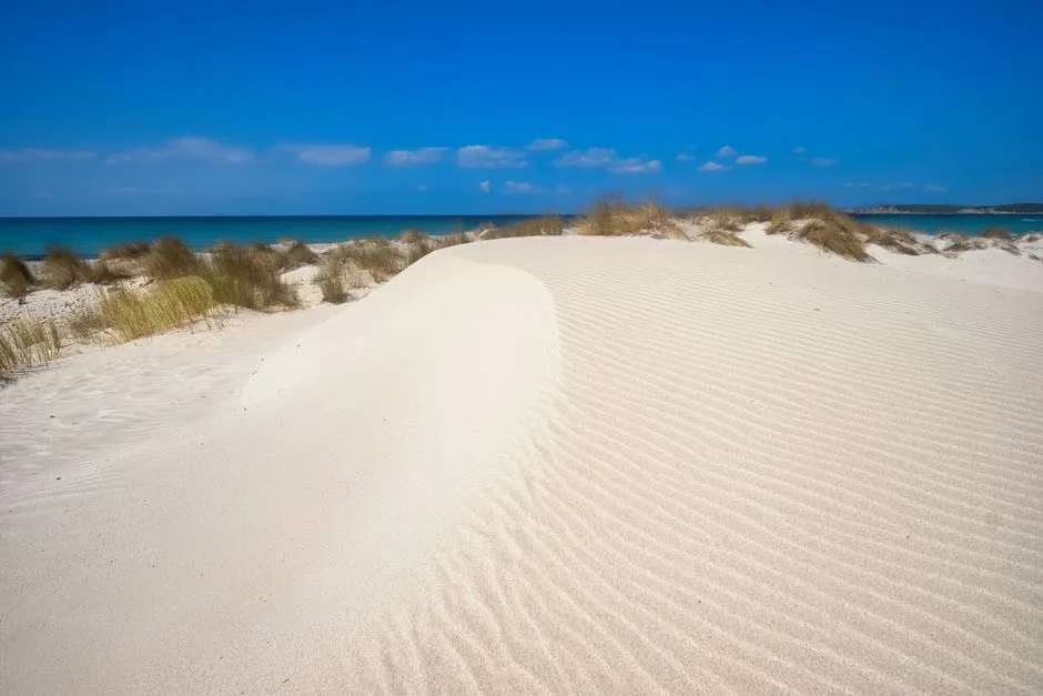 Wind-sculpted white sand dunes with beach grass on Lecce coast