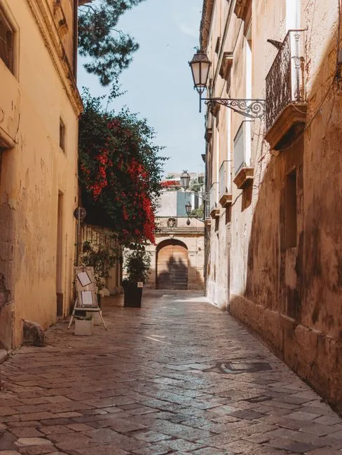 Springtime narrow street with blooming plants