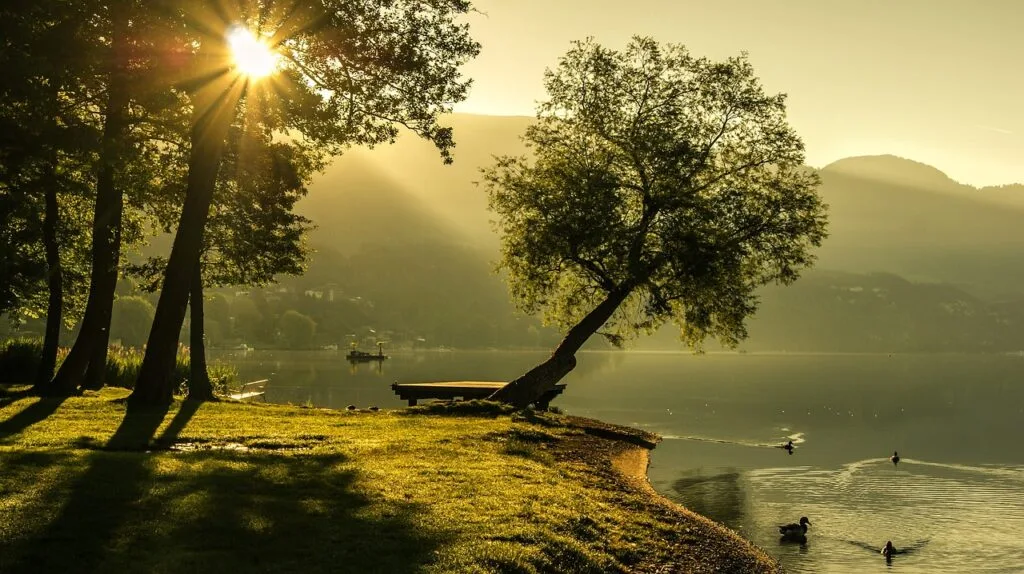 Soleil couchant filtrant entre arbres sur la rive du Po à Turin