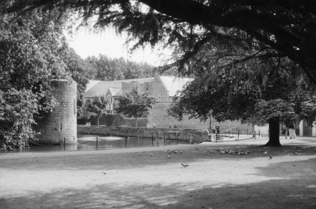 Bord d'eau et tour médiévale en noir et blanc, arbres et pigeons