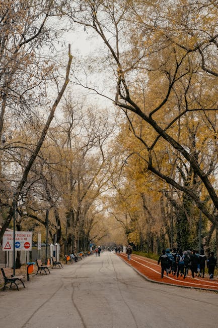 Allée ombragée du parc du Valentino à Turin, joggeurs et bancs
