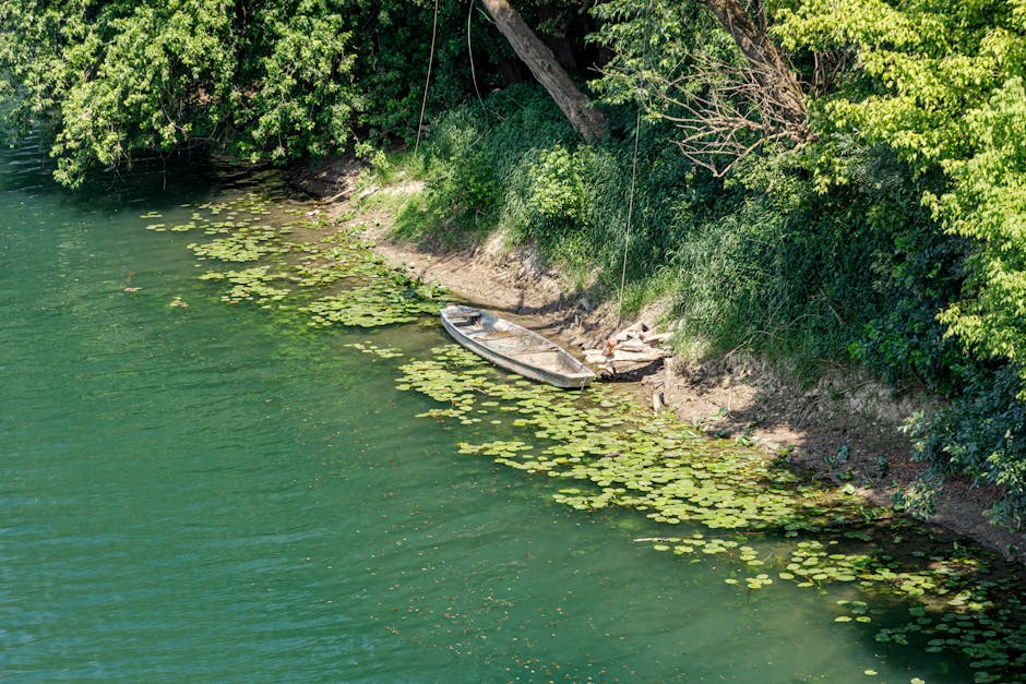 Petite barque au bord du fleuve Pô, berges et nénuphars à Turin.