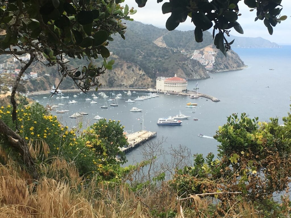 Harbor filled with boats seen through foliage and cliffs on the Amalfi Coast