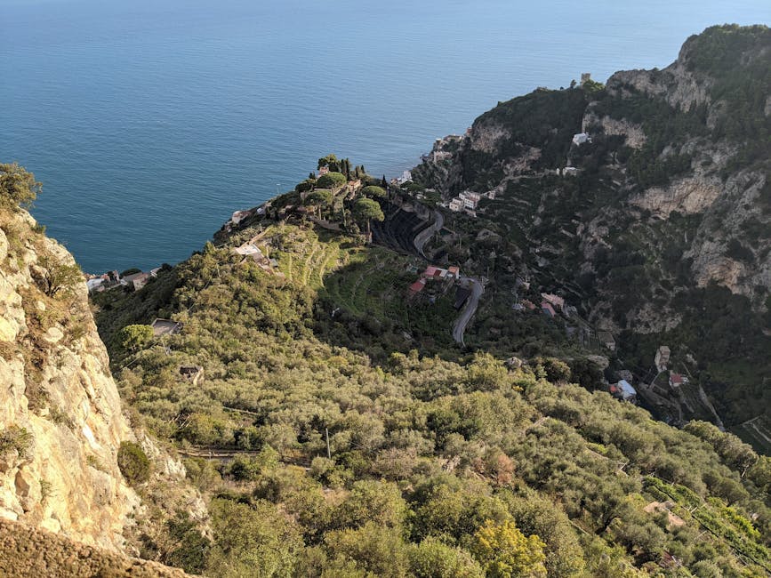 Terrassen met olijfbomen en kronkelende weg hoog boven de Amalfikust