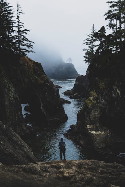 Hiker on a foggy coastal path