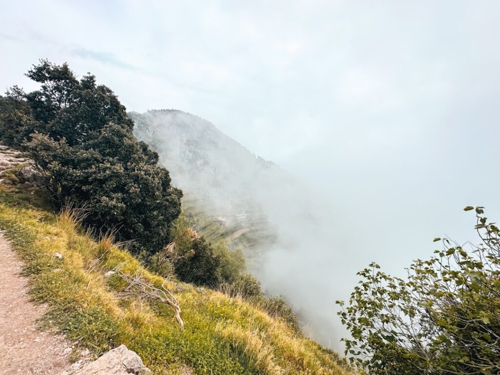 Nebliger Küstenpfad und Pflanzen an steiler Klippe der Côte amalfitaine.