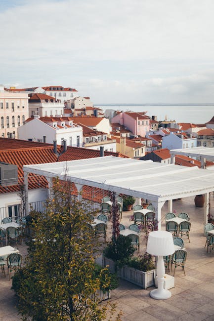 Palazzo Mirto rooftop garden view