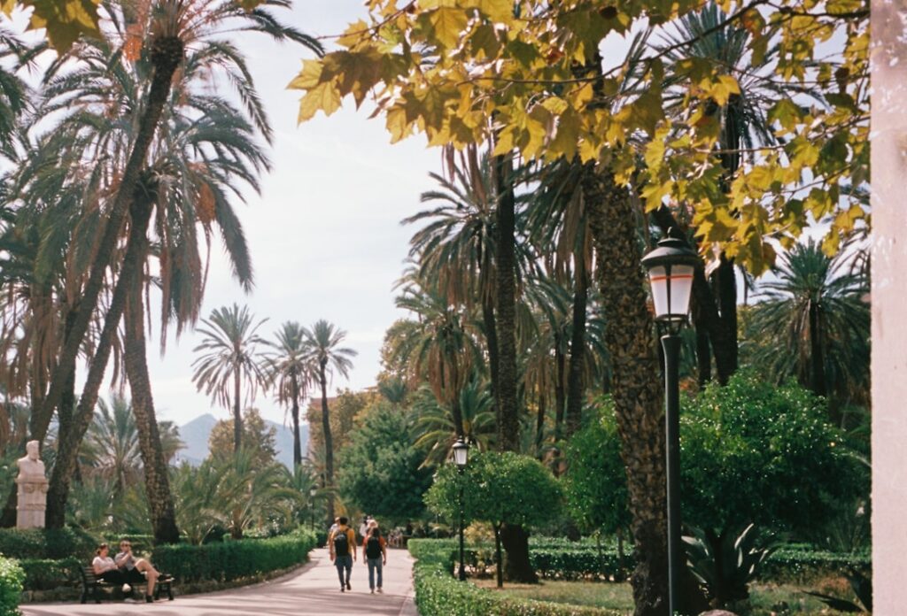 Historic garden in Palermo with lush citrus trees