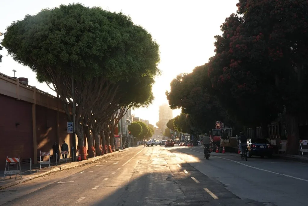 Rue urbaine bordée d'arbres aux formes arrondies au coucher, Palerme