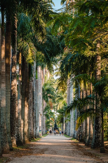 visitor photographing palm tree Orto Botanico Palermo