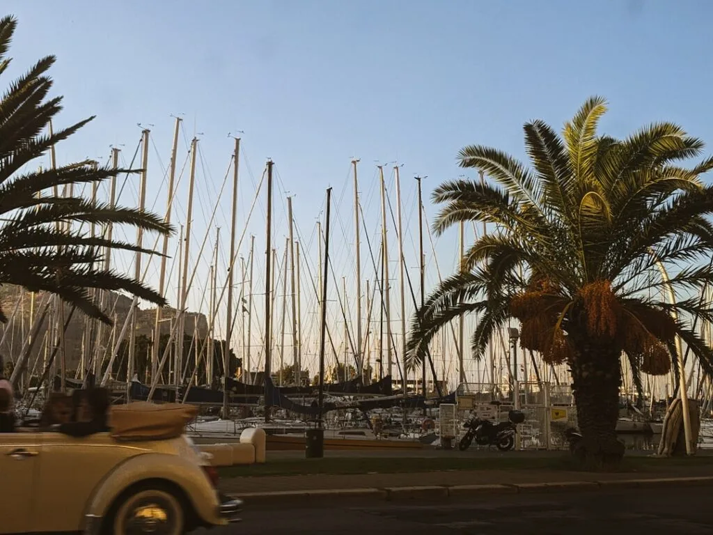 Port de Palermo avec palmiers au bord et mats de voiliers en arrière