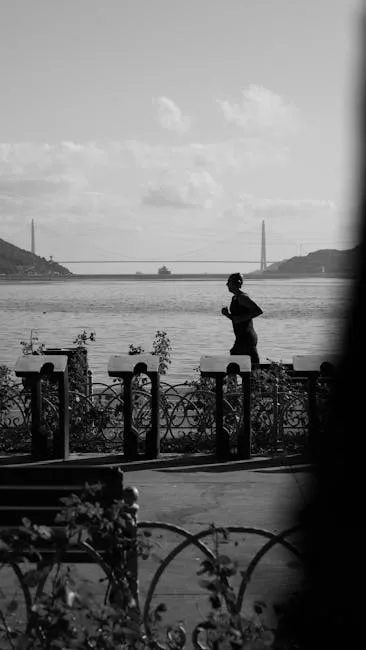 Silhouette d'un jogger le long du front de mer, pont visible au loin