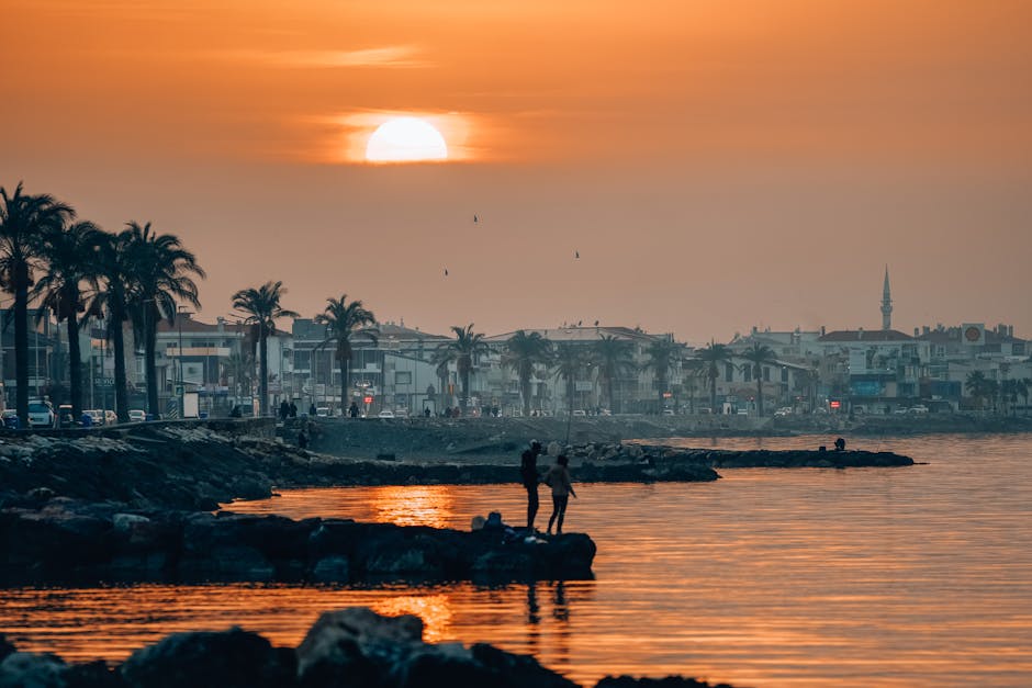 Palm silhouettes at seaside sunset in Palermo