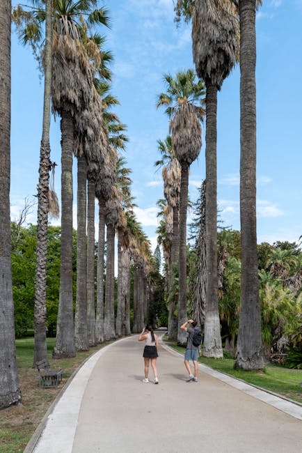Long palm-lined avenue at Foro Italico in the morning
