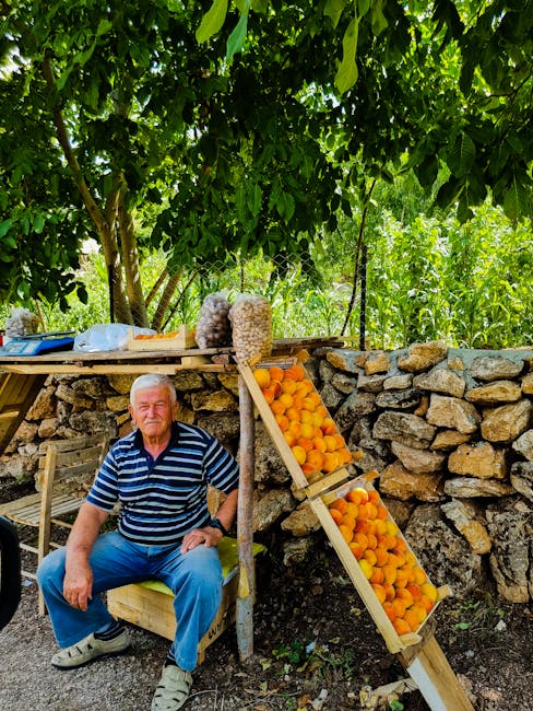 Älterer Mann sitzt am Marktstand mit Aprikosen neben Steinmauer in Matera.