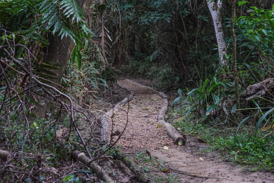 Wanderweg im Parco della Murgia Materana