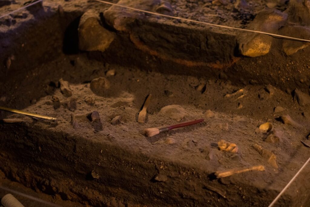 Archäologische Ausgrabungsschicht mit Pinsel und Knochenfragmenten in Matera