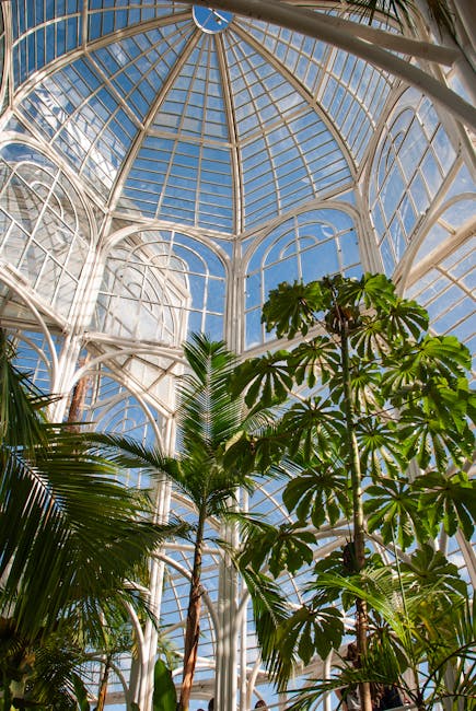 Gewächshaus des Botanischen Gartens von Padua mit hohen Palmen