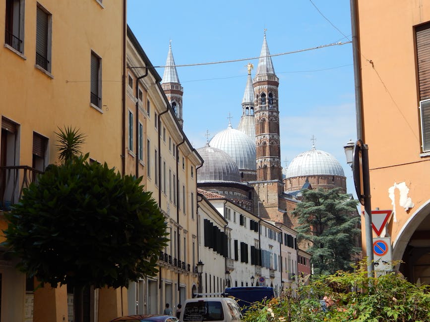 Cupole e campanili della Basilica di Padova visti da una strada