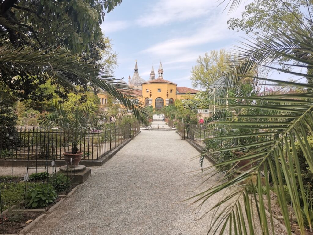 Grindpad tussen planten met geel gebouw en koepels in Giardini Salvi, Padua