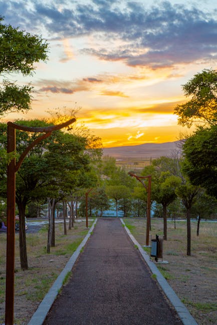 Viale alberato con lampioni al tramonto nel parco di Padova