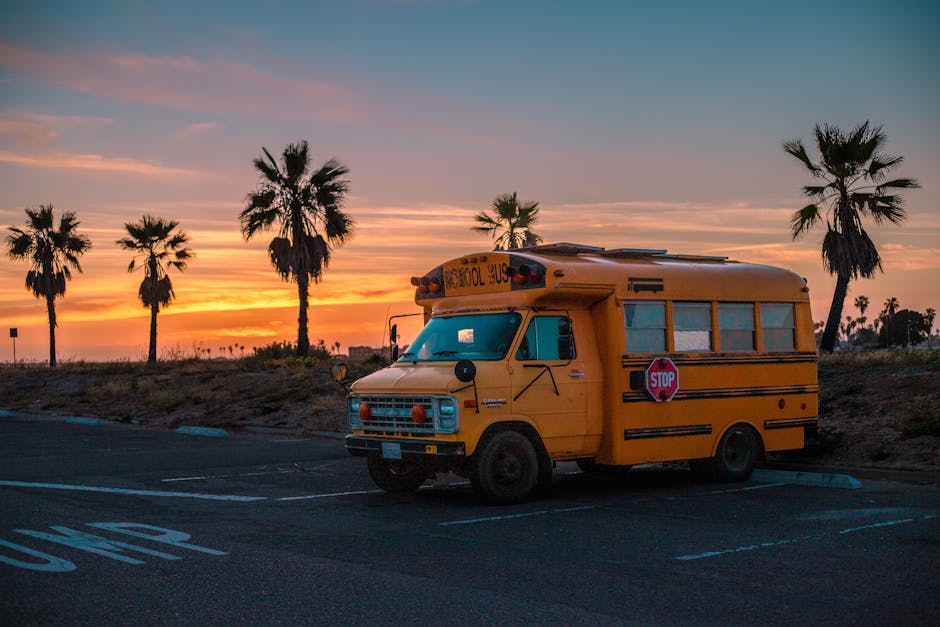 Scuolabus giallo parcheggiato al tramonto vicino a palme