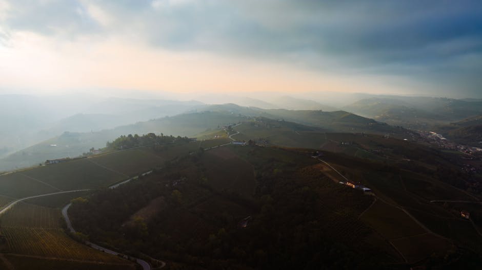 Panoramiczne mgliste wzgórza i winnice w okolicach Padwy