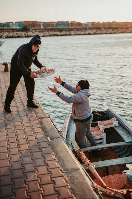 Rybak z miasta Chioggia przekazuje skrzynki z ryb na nabrzeże