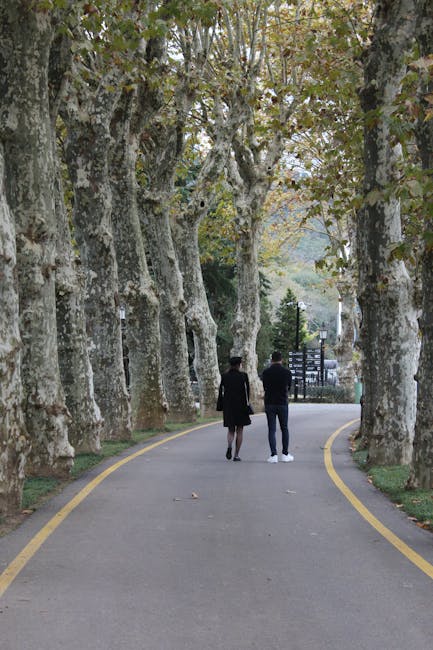 Coppia che passeggia sotto i platani a Padova