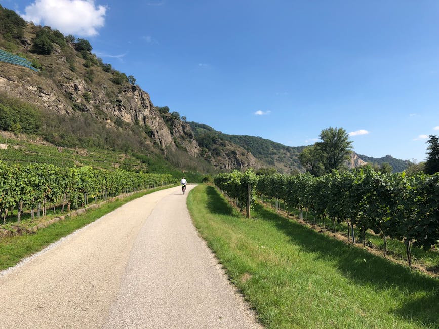 Radfahrer auf Weinweg entlang steiler Hänge nahe Padua
