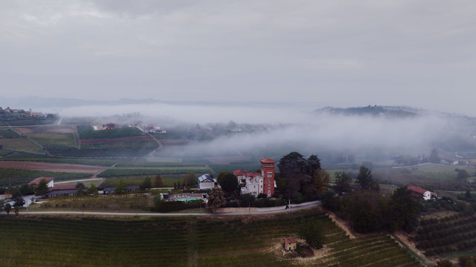 Lugana vineyard morning fog Sirmione