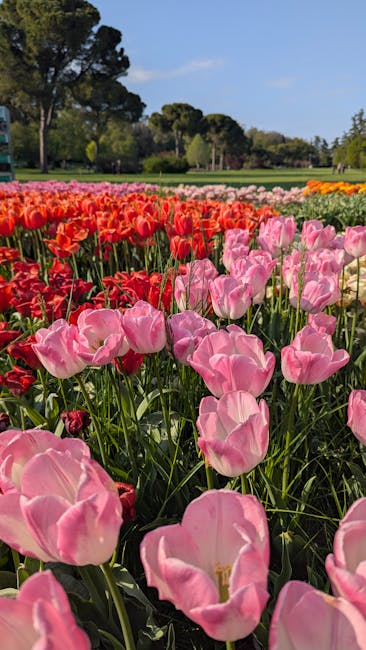 Sigurtà Garden tulip alleys spring