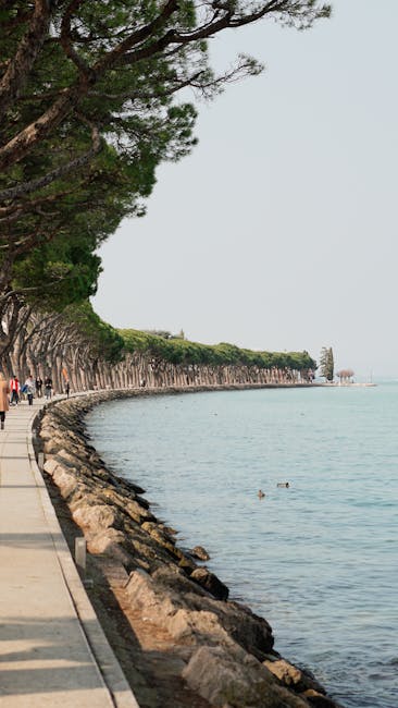 Allée bordée de pins longeant les eaux calmes du Lac de Garde