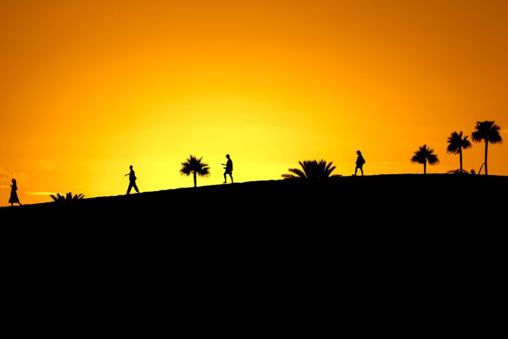 Silhouetted walkers and palm trees on a golden hill at Lake Garda